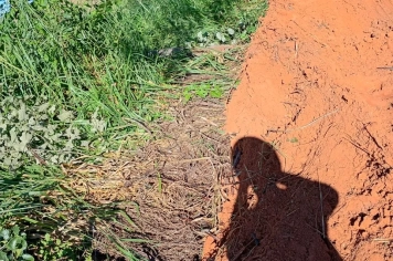 Foto - Pedido de Providência nº 05/2026 - Autoria: Peterson Greatti