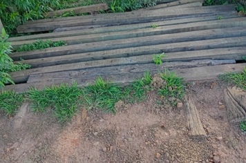 Foto - Pedido de Providência nº 05/2026 - Autoria: Peterson Greatti